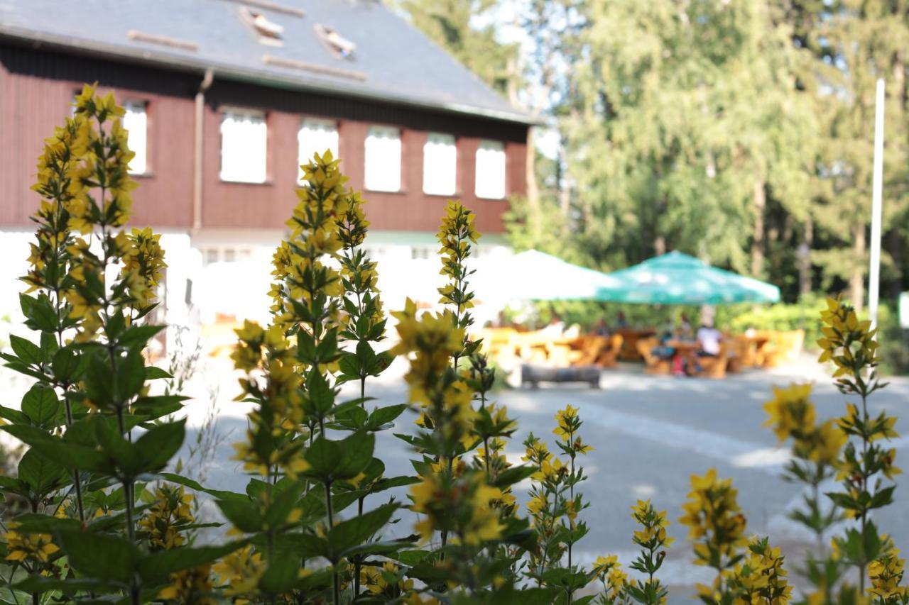 Buerger- Und Berggasthaus Scheibenberg Kültér fotó